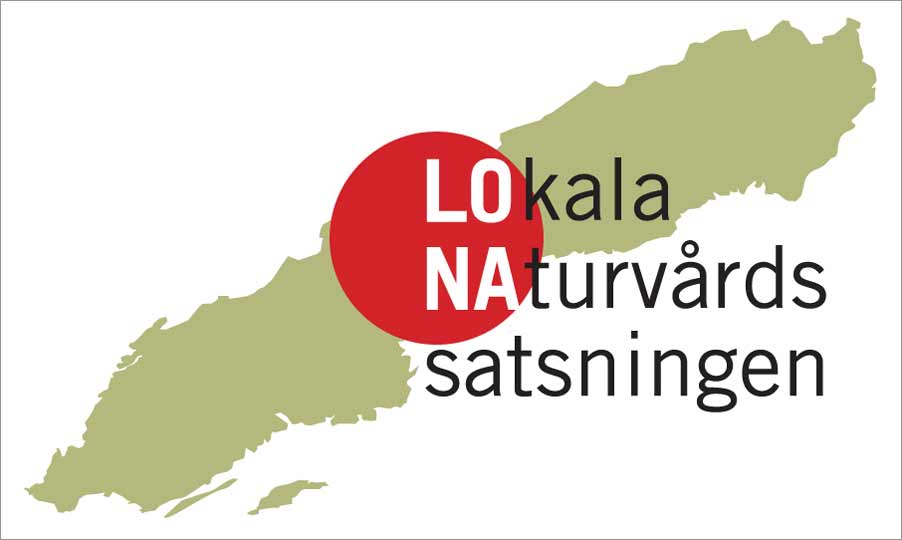 lona-logo