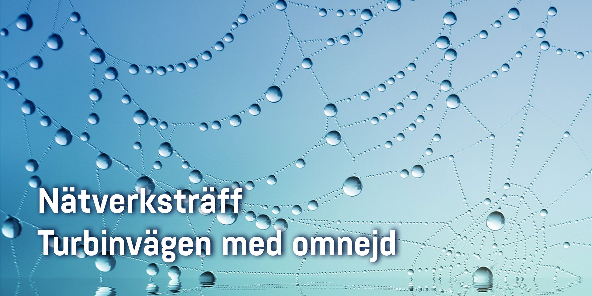 Nätverks träff