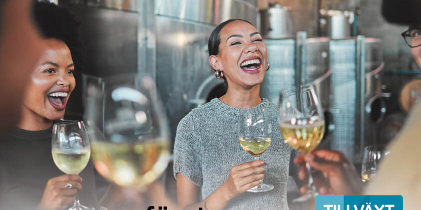 Inbjudan kvinnligt nätverk