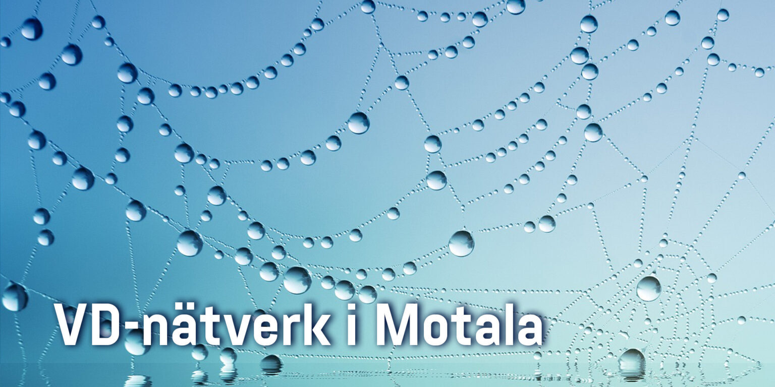 Spindelnät
