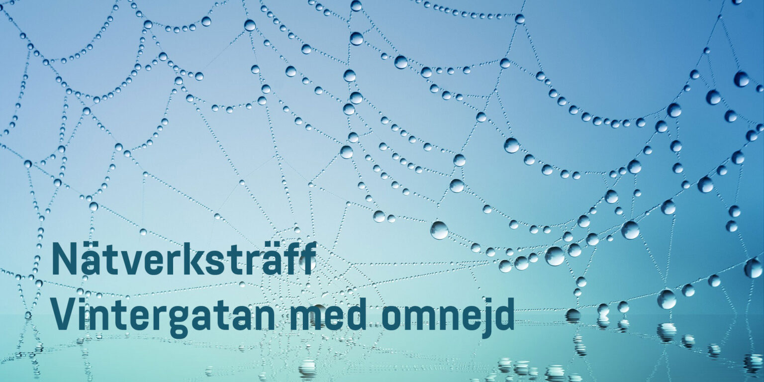 nätverk-vintergatanny